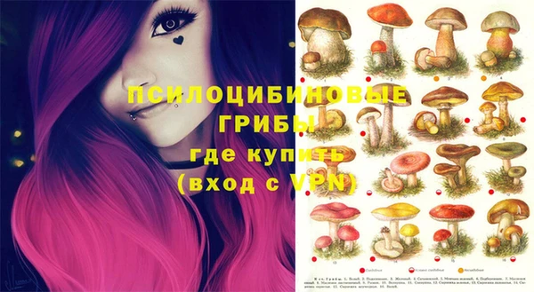 стаф Балахна