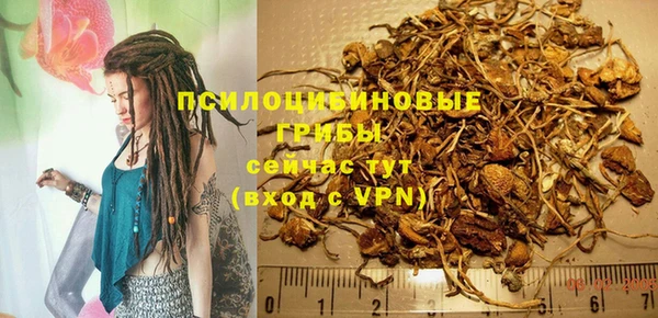 стаф Балахна