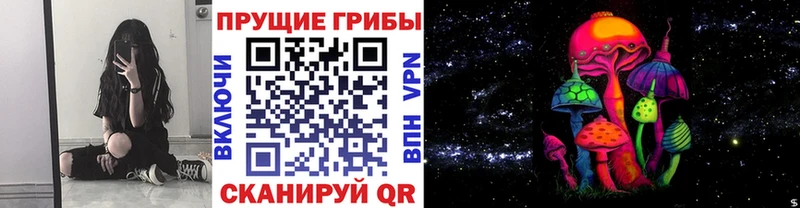 где купить наркотик  Покровск  Псилоцибиновые грибы Cubensis 